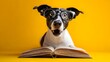 © Anca - Intelligent Dog: A clever dog sporting spectacles, its gaze fixed upon an open book, exuding an air of scholarly curiosity in a vibrant display.