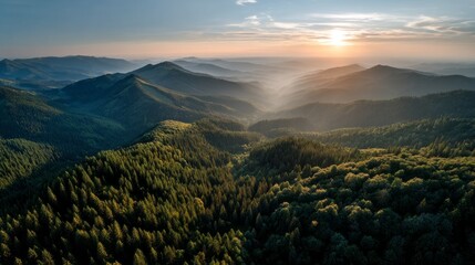 Poster - Golden rays of sunlight spill over undulating hills, illuminating vast green forests and rugged terrain. The tranquility of early morning envelops the landscape as mist rises from the valleys
