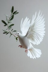 Poster - Graceful white dove carrying an olive branch symbolizing peace and hope against a soft grey background capturing a serene and hopeful mood perfect for stock photography