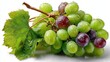 © กาซือมะ สาและ - a fresh bunch of grapes with a smooth texture and vibrant color on a white isolated background, juicy and refreshing design