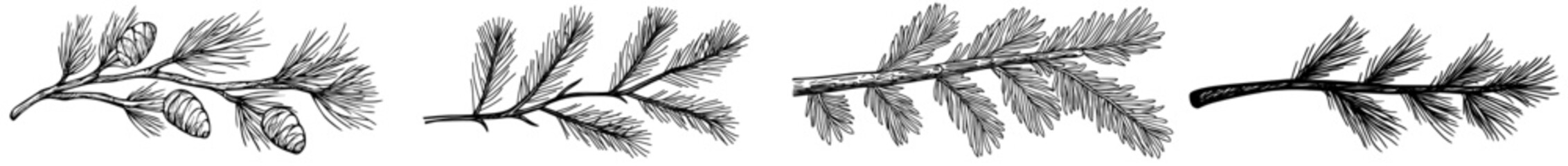 A precise outline of a branch with leaves, ideal for designs and illustrations centered around nature