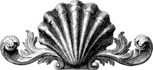 Poster - Intricate baroque shell ornament with engraved details for decorative design