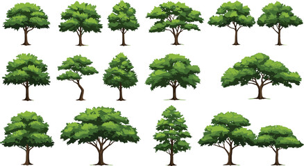 Vector watercolor green tree or forest side view isolated on white background for landscape and architecture drawing,elements for environment or and garden,Shrub for section