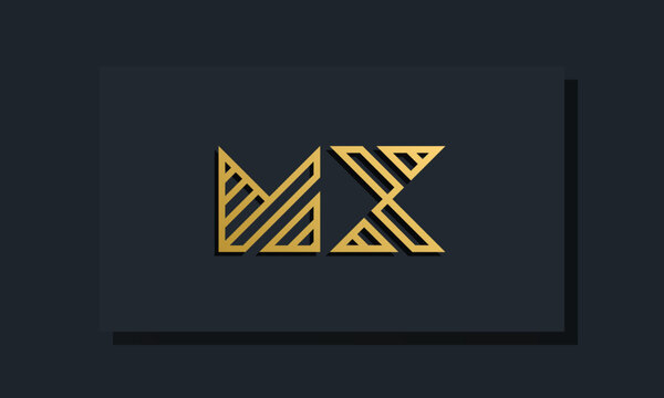 Elegant line art initial letter  MX  logo.