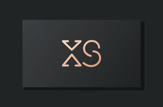 Abstract luxury initial letter XS logo.