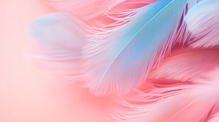 Poster - Pastel feathers, layered in a light setting, conveying gentle softness, useful for art