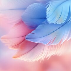 Poster - Pastel feathers overlay, studio shot, dreamy background, airy, for print, design, or wallpaper
