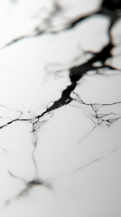 Poster - A black and white photo of a cracked marble floor. The cracks are deep and wide, and the floor appears to be in a state of disrepair. Concept of decay and abandonment