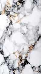 Poster - A marble wall with gold accents. The wall is white and black