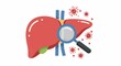 © Tams - Human liver with magnifier and virus illustration on white backdrop.