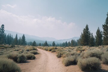 Poster - empty dirt trail winds through vast national park surrounded by sparse green foliage under pale blue sky
