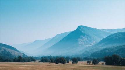 Poster - serene landscape in nature reserve under vast clear sky