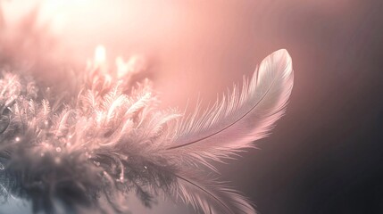 Poster - Delicate feather on a pink background showcasing soft abstract forms and aesthetic qualities in digital art with a gentle touch