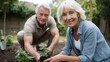 © Kevin - Elderly Couple Gardening Together in Backyard