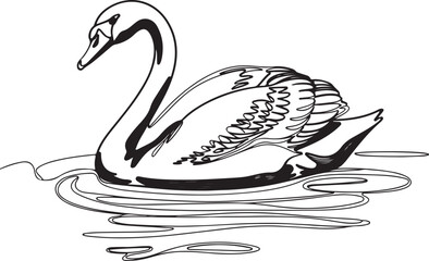Wall Mural - an elegant black continuous line art drawing of a swan floating peacefully on water captured in a mi