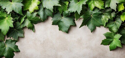 Aufkleber - Lush green leaves frame a neutral background.