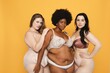 © Rawpixel.com - Three women in lingerie pose confidently, embracing body positivity and diversity. They have different body types and styles. Diverse women in lingerie, body positivity and inclusivity.