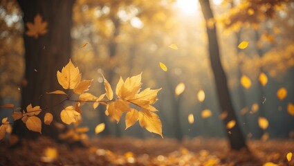 Poster - Beautiful autumn vista with yellow trees illuminated by the sun. Colorful leaves in the park. Background of cascading leaves.