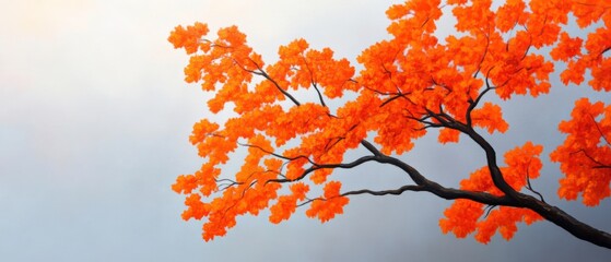 Orange leaves and tree branches