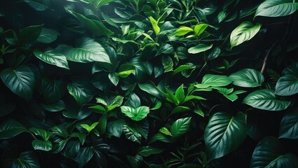 Aufkleber - Tropical Plant Environment with Fresh Air