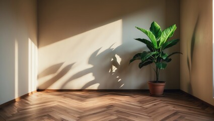 Poster - Chevron-patterned wood floor in an empty minimalist room with a potted plant.