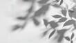 © dhita - Soft shadows of leaves cast on a light, textured surface, creating a minimalist and calming natural scene.