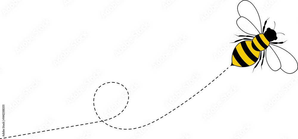 Bee flying path. A bee flying in a dotted line. The flight path of bee ...