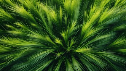 Poster - A close-up of vibrant green grass blades creating a dense and textured pattern. The natural elements and textures make for a refreshing look