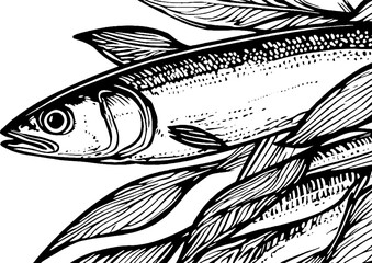  Intricate Black and White Fish Illustration