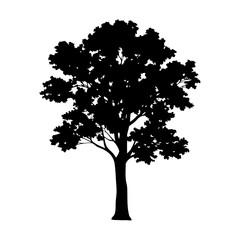 Wall Mural - black tree silhouette vector illustration for nature designs tree clip art and graphics design