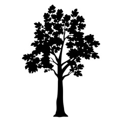 Wall Mural - isolated tree silhouette vector illustration for nature design and landscape art projects