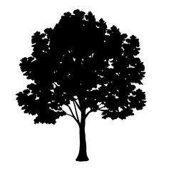 Wall Mural - download high resolution black tree silhouette vector graphic for nature and landscape designs needs