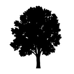 Wall Mural - black tree silhouette vector graphic for nature illustration tree trunk and branches design element