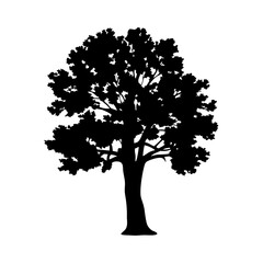 Wall Mural - black tree silhouette vector graphic for nature design and landscape illustration projects and art p
