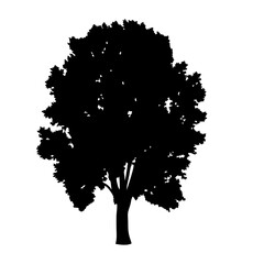 Wall Mural - black tree silhouette vector graphic for landscape design nature illustration and art projects
