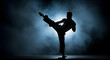 © Nur - Silhouetted martial artist executing a powerful high kick amidst atmospheric smoke and dramatic lighting