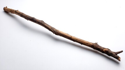 Poster - A close-up view captures a simple branch leaning gently at an angle on a clean white surface, emphasizing its natural textures and elegant minimalism