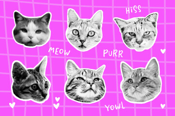 Naklejka na meble Cat faces collage set in halftone style. Retro Vibe and Urban Aesthetic. Trendy Digital Art Concepts. Grunge punk collection. Dotted pop art style. Y2k collage design