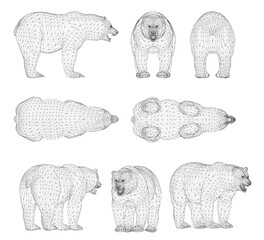 Poster - The image is a series of black and white drawings of bears. The bears are all same sizes and poses, with some standing upright. Scene is somewhat somber