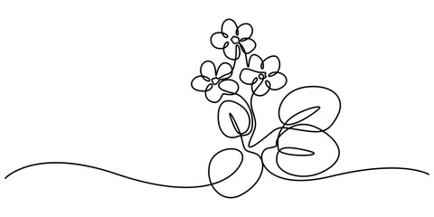 Aufkleber - A black line art drawing of an African violet with a stylized flowering plant. An illustration of a Saintpaulia flowering plant on a white background, African violet in continuous line art drawing one