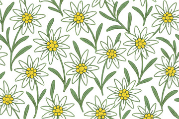 Poster - Floral pattern featuring white daisies and green leaves on a light background for decor and design use