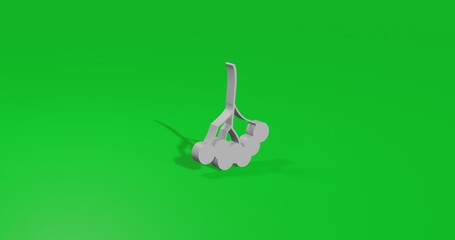 Poster - Isolated realistic white rowan berry front view with shadow. 3d illustration on green chroma key background