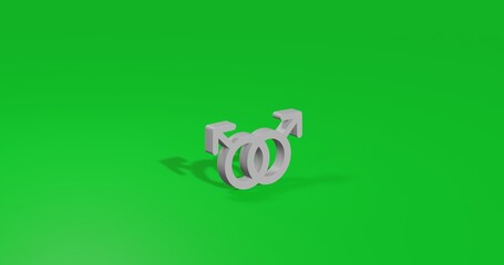 Poster - Isolated realistic white homosexual symbol front view with shadow. 3d illustration on green chroma key background
