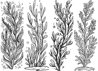 Poster - A minimalist modern illustration depicts light blue seaweed swaying gently in the ocean current, evoking a sense of tranquility and emphasizing the beauty of marine life