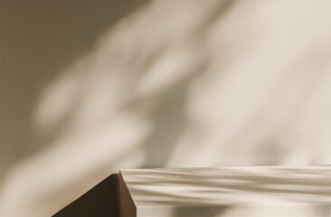 Poster - Minimalist scene with soft natural light casting shadows on a beige wall and a geometric surface.