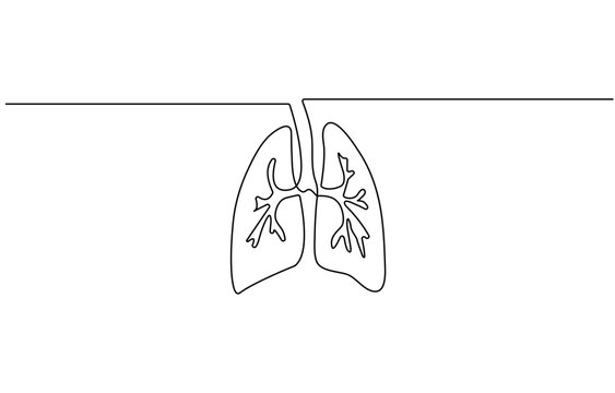 Simple continuous one line drawing of human lungs. Single line human anatomical of lungs . Doodle line illustration.