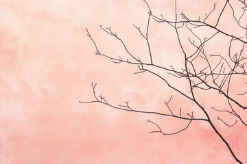 Poster - Silhouette of bare tree branches against a soft pink sky creating a minimalist aesthetic scene