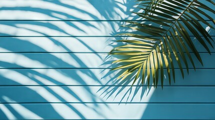 Poster - Palm leaf shadows on a light blue wall. A simple, clean background, perfect for showing off products. Great for spring or summer themes.
