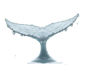 Poster - Captivating Symmetrical Whale Tail Shaped Splash, A Detailed Liquid Artistry Displaying Fluid Dynamics and Graceful Movement Against a Plain Setting