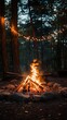 © lona - Campfire in forest with string lights, rocks, and tall trees